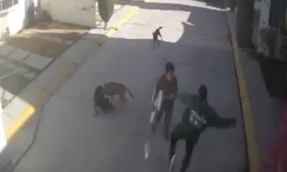 Detienen a agresor de menor autista