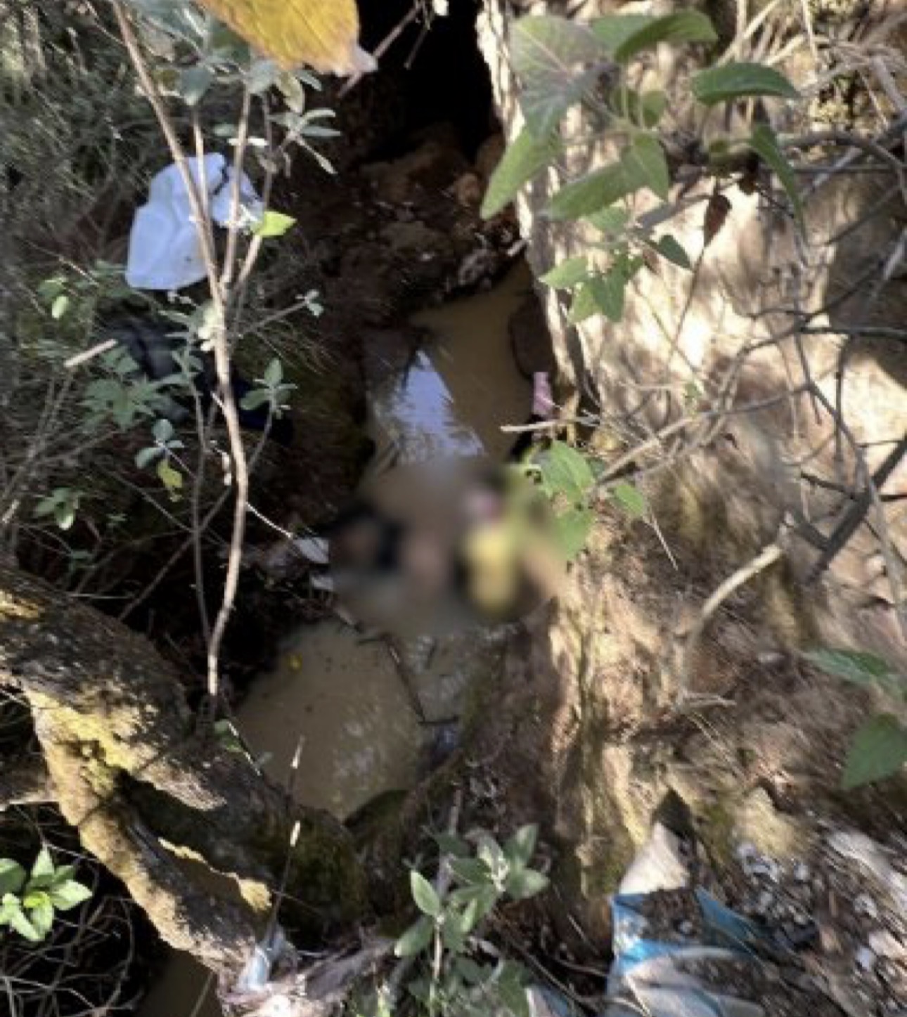 Imagen 2 de 3: Acudió a una clínica de belleza y terminó sin vida en un canal de aguas negras
